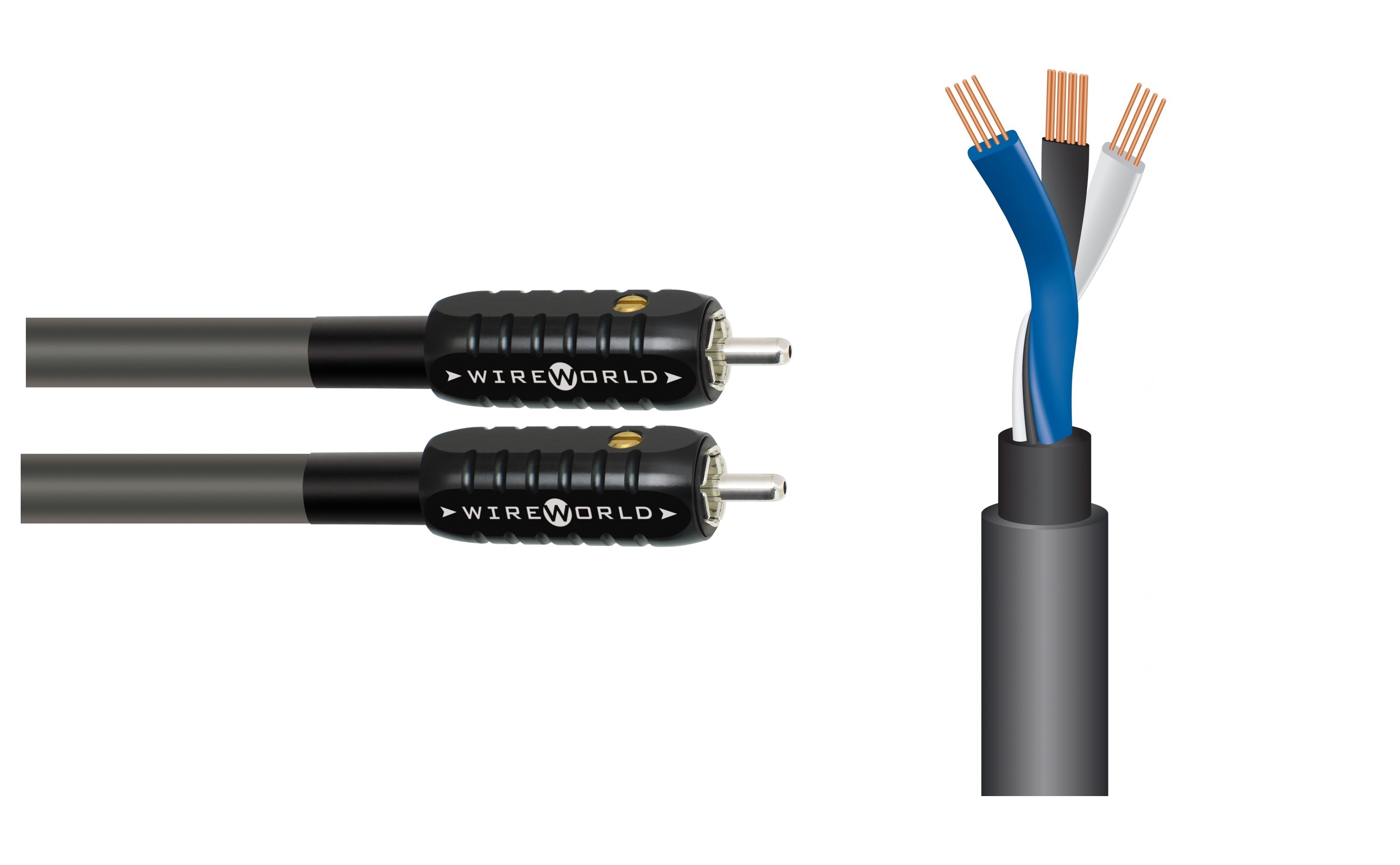Wireworld Equinox 8 2 RCA to 2 RCA, 1m
